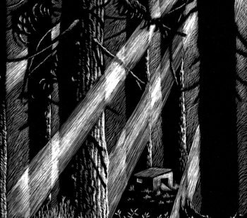 LA LUCE NASCOSTA NEL BOSCO_Workshop di Scratchboard a cura di Rocco Lombardi_29 e 30 marzo 2025