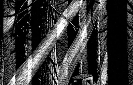 LA LUCE NASCOSTA NEL BOSCO_Workshop di Scratchboard a cura di Rocco Lombardi_29 e 30 marzo 2025