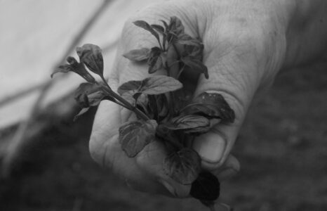 Mostra fotografica Newen è donna e natura di Nias Zavatta_Sabato 24 maggio