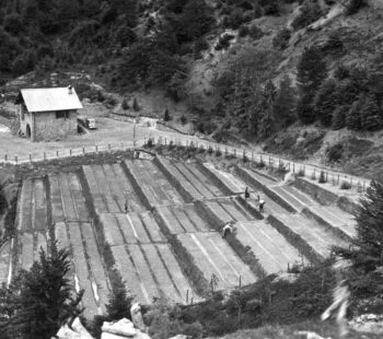 Rifugio chiuso per lavori interni dal 5 maggio al 22 maggio. Riapertura il 23 maggio a cena!