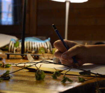 Riappendere le foglie_laboratorio di scrittura poetica a cura di Elisa Biagini_1-2 maggio 2025