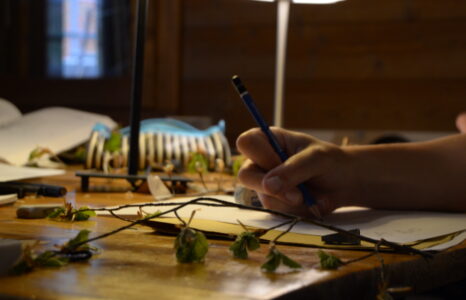 Riappendere le foglie_laboratorio di scrittura poetica a cura di Elisa Biagini_1-2 maggio 2025