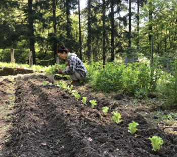 “Sentieri di Futuro”_BIS Vivere e Lavorare in Appennino_Sabato 19 luglio 10-12.30 al Rifugio Segavecchia