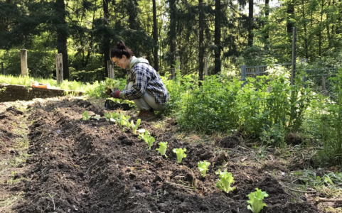 “Sentieri di Futuro”_BIS Vivere e Lavorare in Appennino_Sabato 19 luglio 10-12.30 al Rifugio Segavecchia