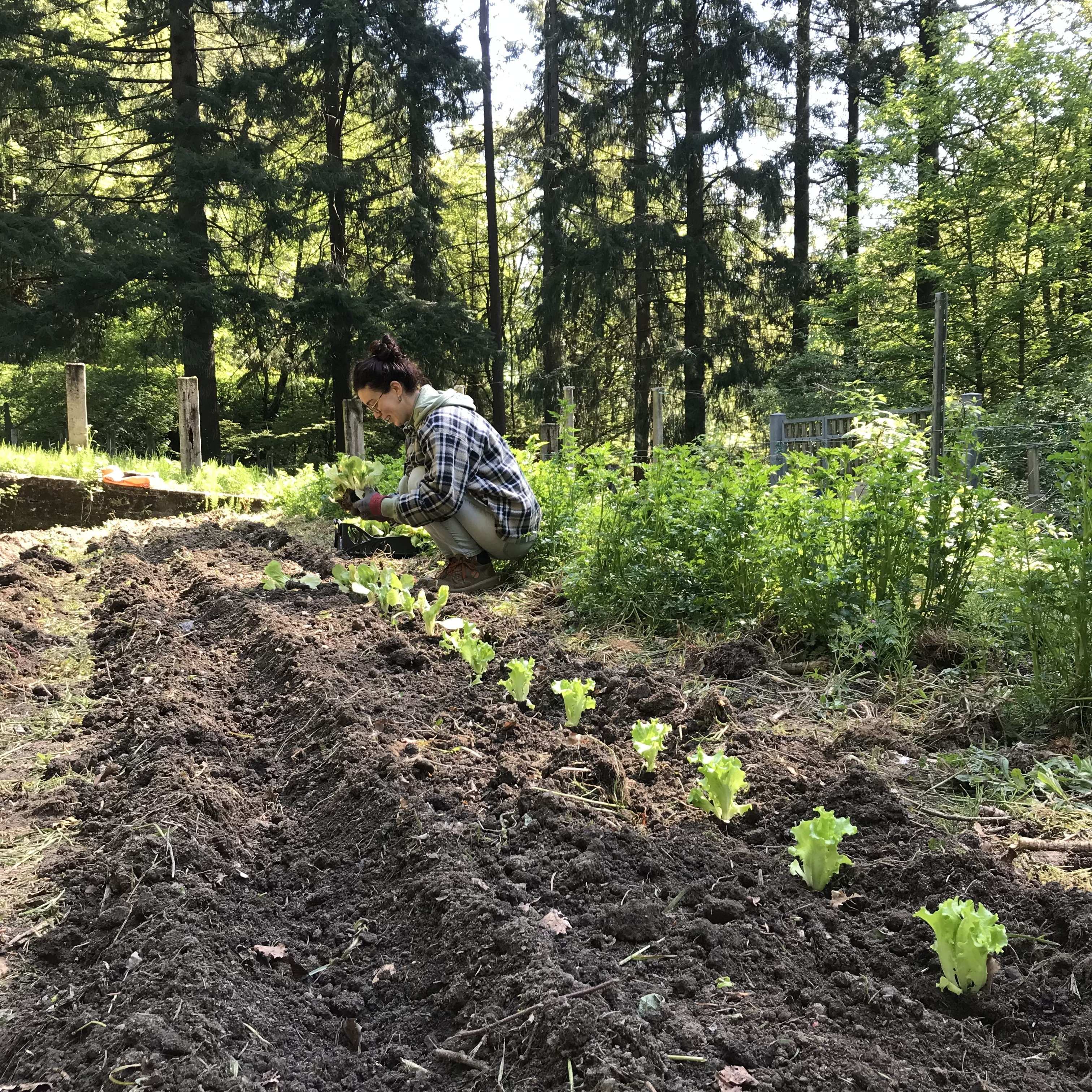 “Sentieri di Futuro”_BIS Vivere e Lavorare in Appennino_Sabato 19 luglio 10-12.30 al Rifugio Segavecchia