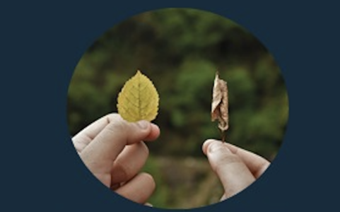 DAT Caffè_Domenica 6 settembre dalle 9.30 alle 16.00_Disposizioni  Anticipate di  Trattamento alla fine della vita compilate insieme ai volontari di Tonglein