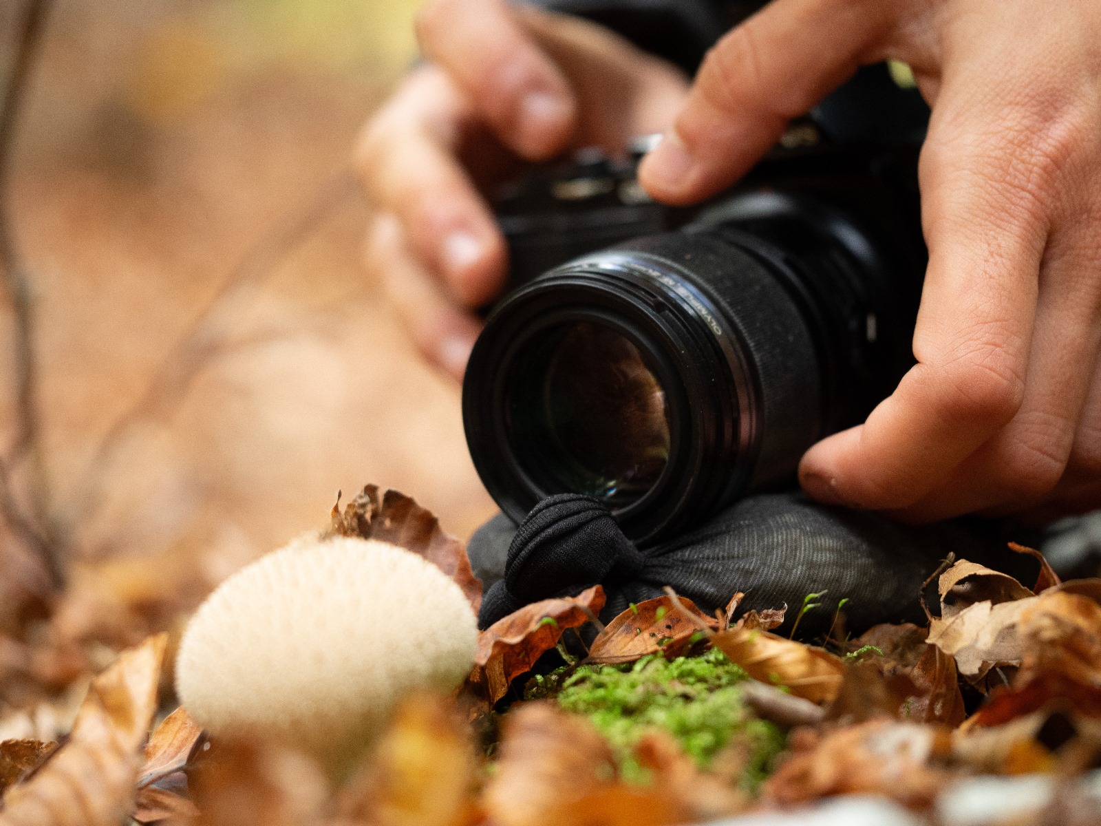 Raccontare con la luce_corso base di fotografia_sabato 15 e domenica 16 novembre